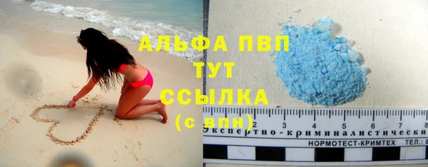 молекула духа Елабуга
