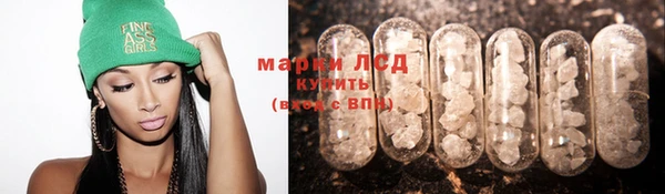 молекула духа Елабуга