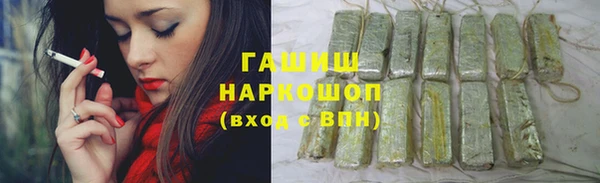 молекула духа Елабуга