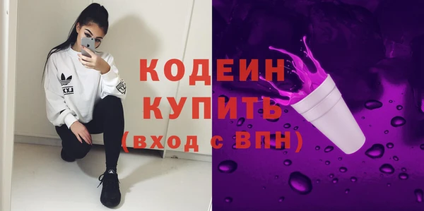молекула духа Елабуга