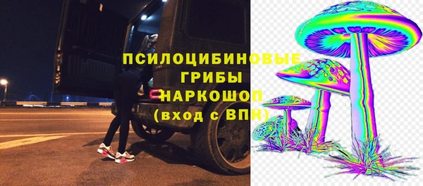 молекула духа Елабуга