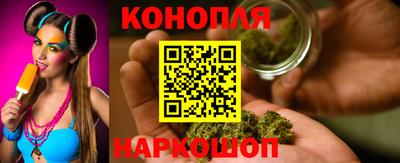 стаф Новокубанск