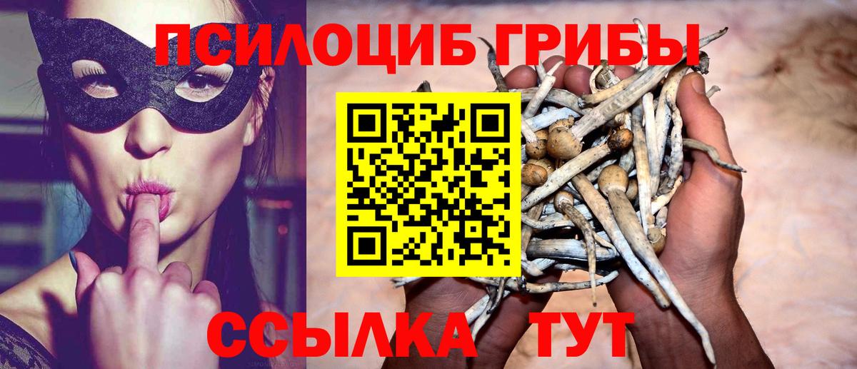 Истра  Вход с VPN  Меф МЯУ МЯУ   МДМА  ГАШ  МАРИХУАНА 