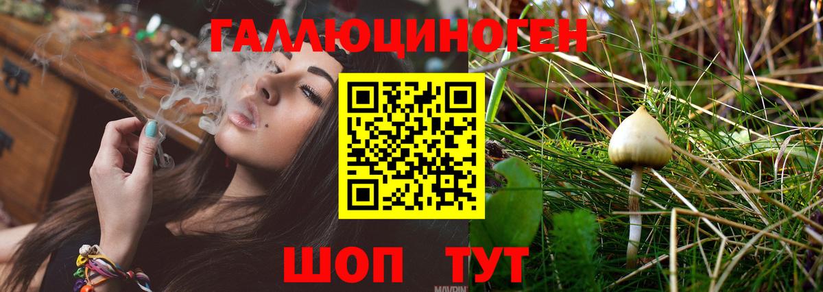 Галлюциногенные грибы мицелий  где можно купить наркотик  Истра  Вход с VPN 