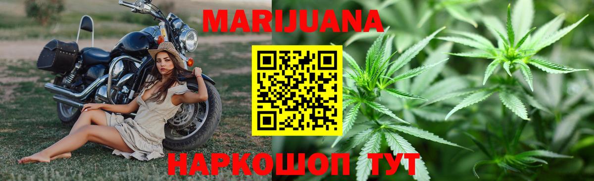 Бошки Шишки план Истра